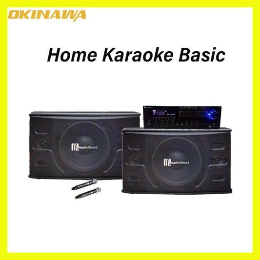 Matrin Roland 10 inch Power Speaker Home Karaoke  Basic Package